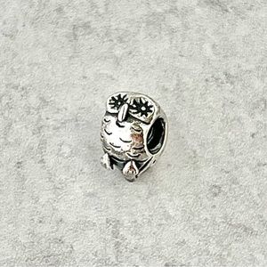 Pandora Owl Charm Sterling Silver